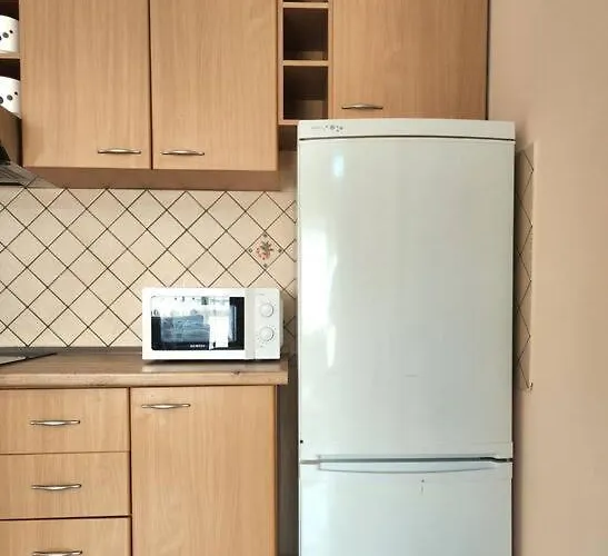 Ring Flat Ii W/ 24h Check In